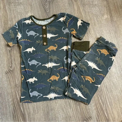 BSPO0542 Baby Boys Dinosaurs Green Shirt Pants Pajamas Clothes Sets Preorder